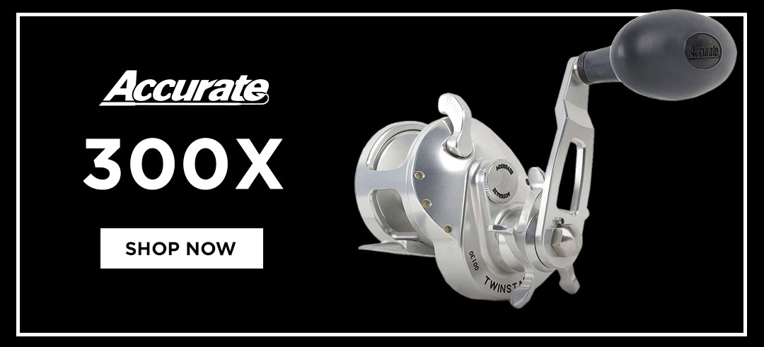 Shop Accurate TXD-300X Tern 2 Star Drag Conventional Reel Accurate 300X SHOP NOW 