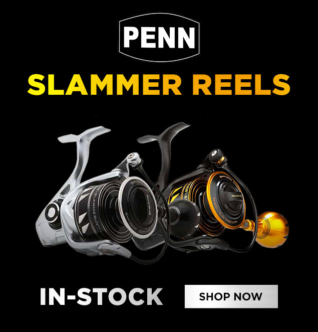 Buy PENN Slammer IV DX 5500 Spinning Reel online at