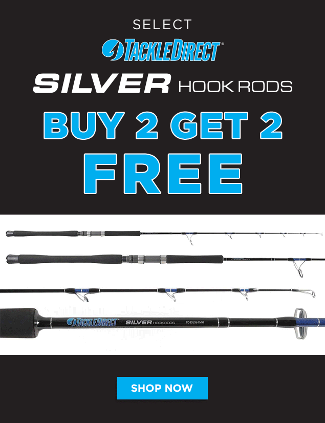 Buy 2 Get 2 FREE TackleDirect Silver Hook Rods