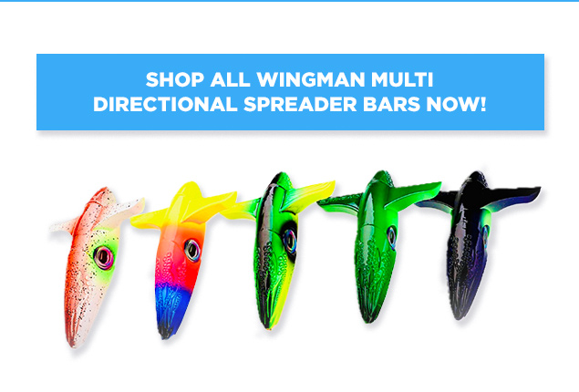 Don't Miss it! BOGO FREE Daiwa Proteus Rods! - Tackle Direct